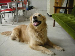 DSCN1479.JPGのサムネール画像